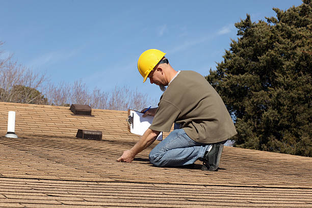 Best Roof Moss and Algae Removal  in Shaw, MS